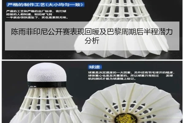 chen-yu-fei-yin-ni-gong-kai-sai-biao-xian-hui-nuan-ji-ba-li-zhou-qi-hou-ban-cheng-qian-li-fen-xi-2-402.jpg